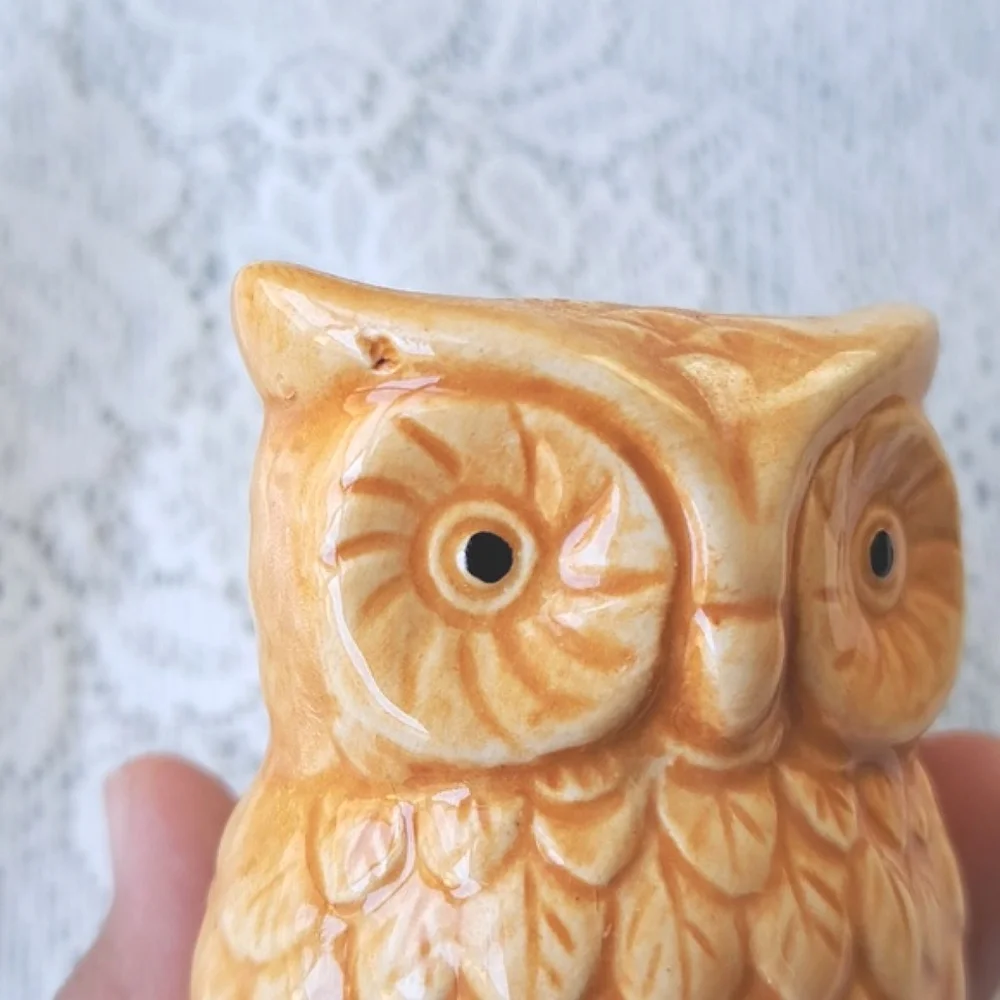 Vintage Pair MCM Handpainted Classic Ceramic Owl Salt & Pepper Shakers Pottery